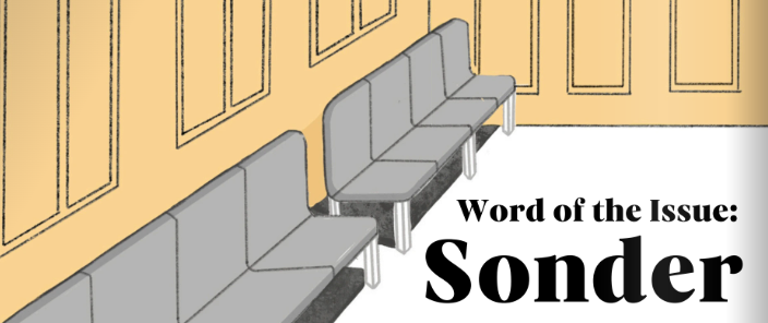 Word of the Issue: Sonder  A Discussion of its Power in Medical Practice